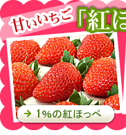 �Â��������g�ق��؋M�d�ȁu1%�̍g���؁v�̔�
