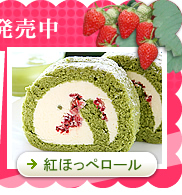 �Ïk����&ldquo;�h���C�X�g���x���[���g�p�����u�g�ق��؃��[���v�̔�