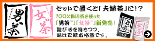 �j���������ʊ��N���X�}�XVer����̔�
