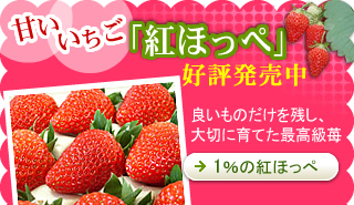 �Â��������g�ق��؋M�d�ȁu1%�̍g���؁v�̔�