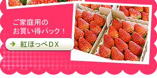 ���������p�b�N�u�g�ق���DX�v�̔�