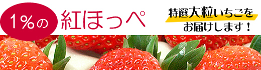 �G�ߌ��菤�i �É����܂�̑嗱������ 1���̍g�ق���