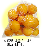 �����l�[�u���I�����W