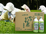 �������풃�A���~��24�{����