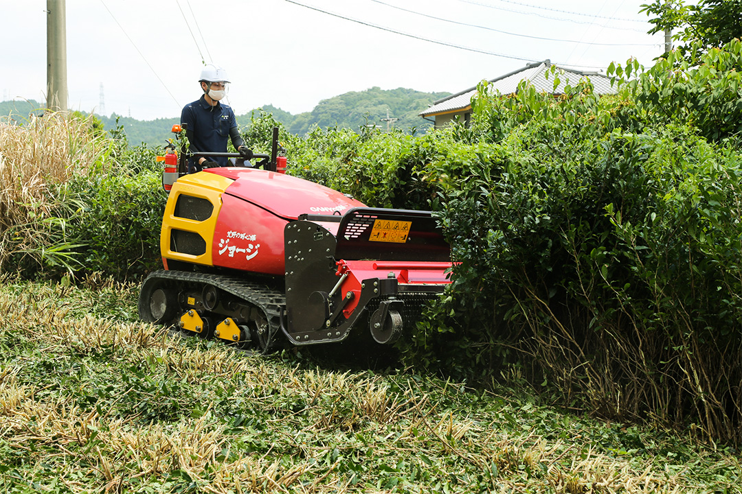 茶樹の粉砕に大型機械を導入