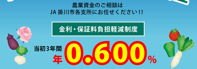 金利・保証料負担軽減制度 最大3年間実質金利(%)実質0 全期間で保証料(円)実質0