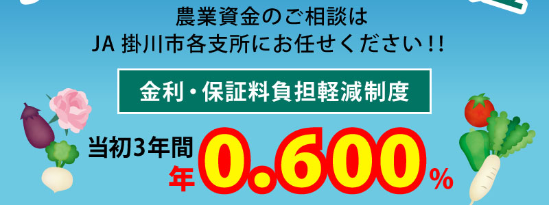 金利・保証料負担軽減制度 最大3年間実質金利(%)実質0 全期間で保証料(円)実質0