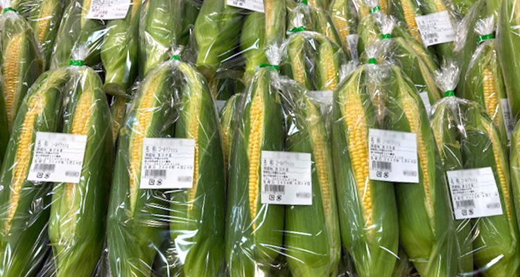 掛川市の旬の農作物「とうもろこし」