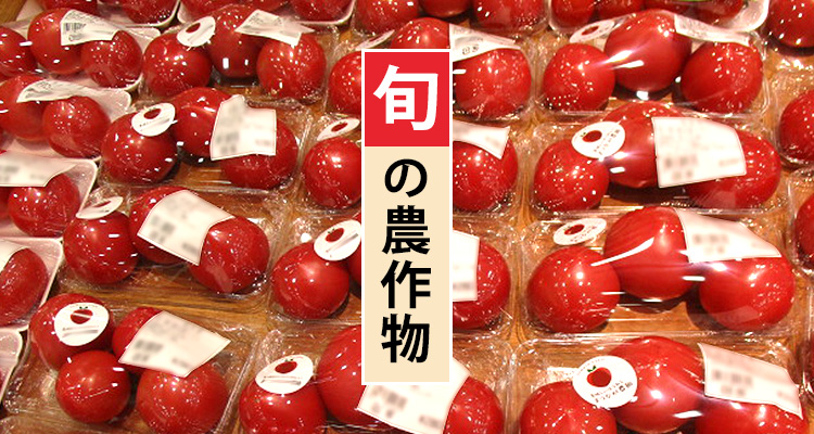 Nakashibuさま専用　KanazawaPOLES 115cm 赤×赤 il_fullxfull.6848784396_icl7.jpg