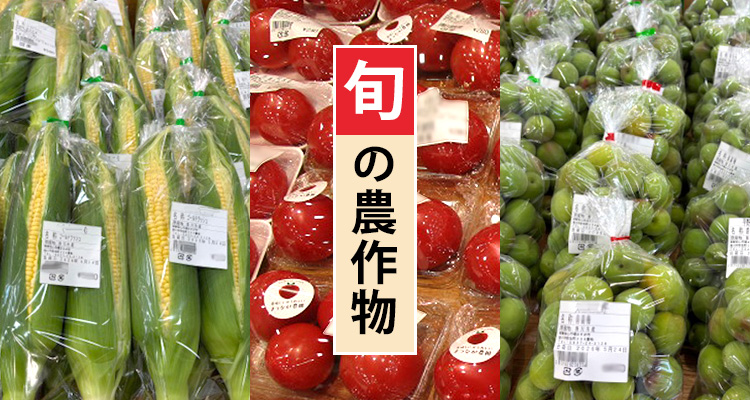 旬の農作物販売 トマト とうもろこし 梅