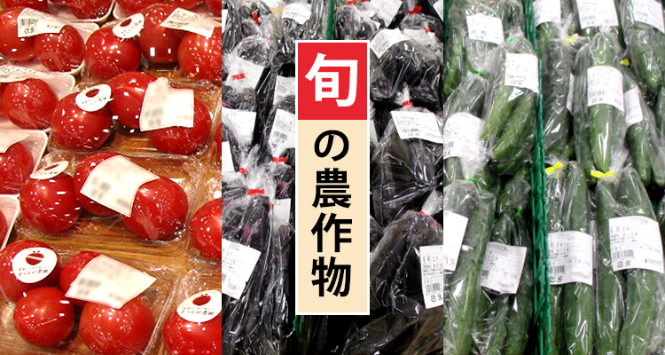 旬の農作物販売「トマト」「なす」「きゅうり」