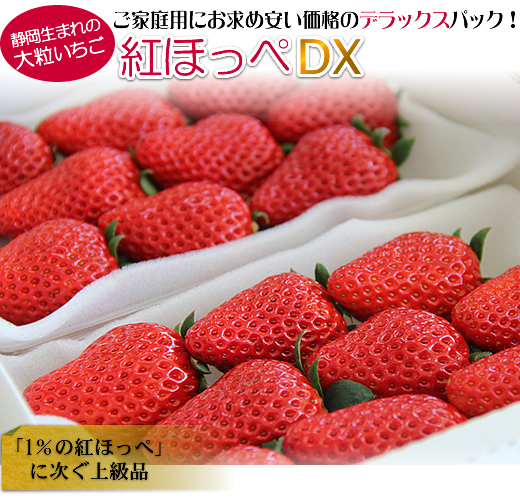 甘いいちご 紅ほっぺ Ja掛川市ご家庭用お買い得デラックスパック販売