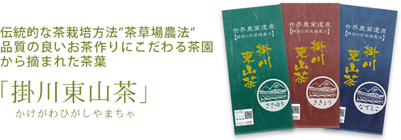 伝統的な茶栽培方法”茶草場農法”品質の良いお茶作りにこだわる茶園から摘まれた茶葉 掛川東山茶