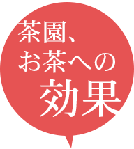 茶園、お茶への効果