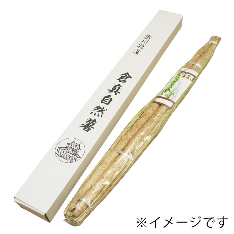 掛川特産 倉真自然薯 700g