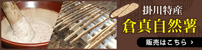 掛川特産 倉真自然薯のネット販売