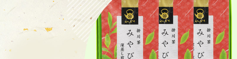 平袋ギフトセット