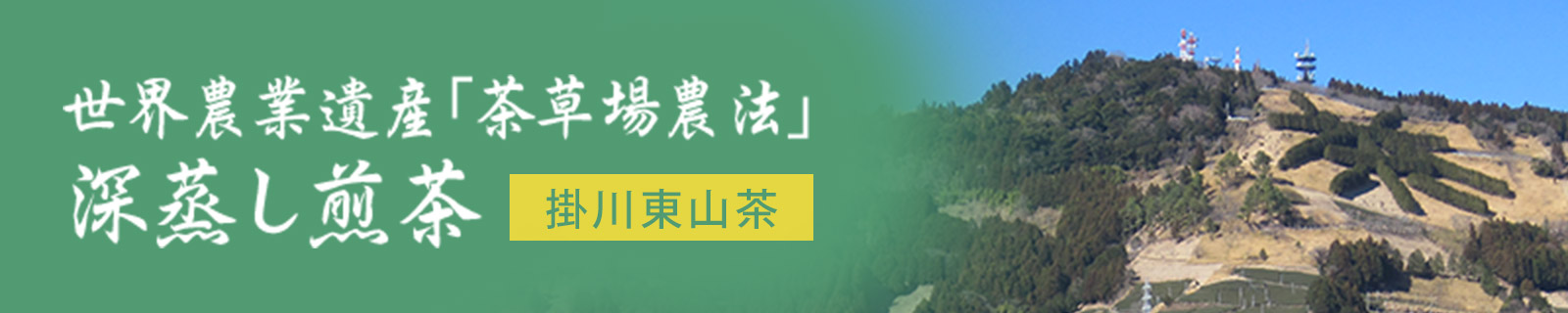 世界農業遺産「茶草場農法」深蒸し煎茶
