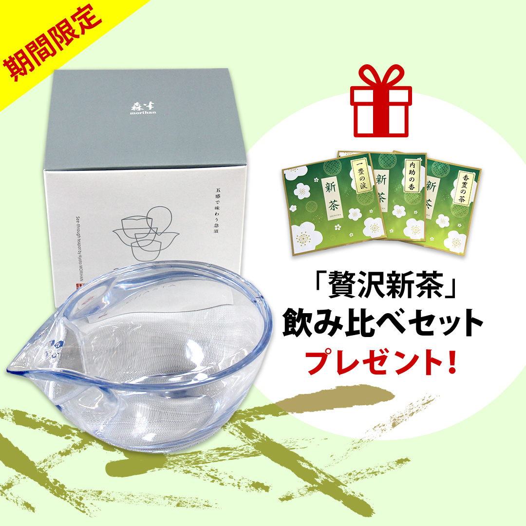急須 CHASTA（チャスタ）＋「贅沢新茶」飲み比べセットプレゼント付