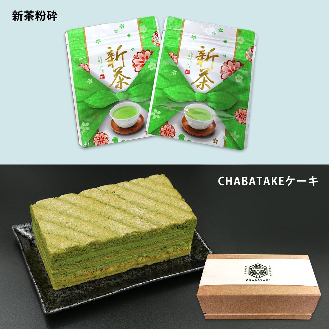 【新茶】お茶の苗木セット