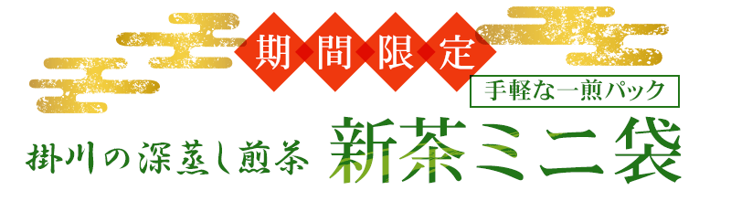 期間限定 手軽な一煎パック 掛川の深蒸し煎茶 新茶ミニ袋