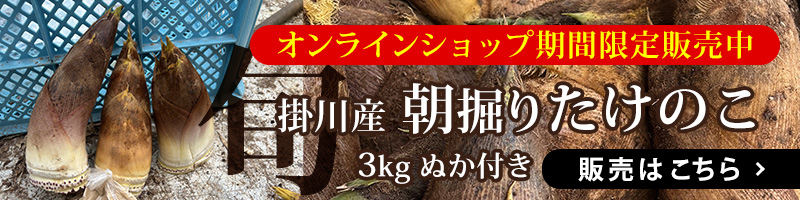 オンラインショップ 1週間限定「掛川産朝堀りたけのこ」販売【～4/19迄】