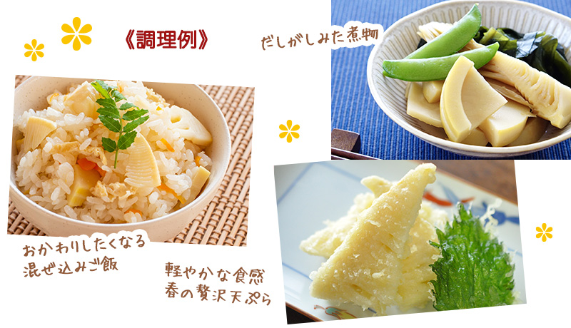 調理例 煮物・炊き込みご飯・天ぷら